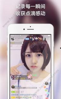 福利视频在线观看,在线观看，畅享视听盛宴  第1张