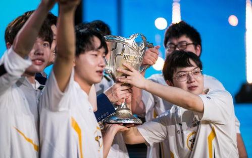 爆料狼队训练视频大全下载,视频大全下载解析  第1张