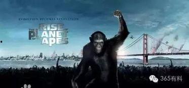 猩猩王电影在线观看,重返原始森林的惊险之旅 第1张 猩猩王电影在线观看,重返原始森林的惊险之旅 第1张