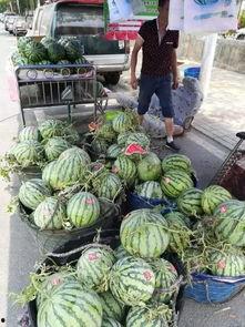 太原网红吃瓜事件,揭秘网络舆论的风暴与真相  第1张